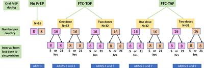 Short-term oral pre-exposure prophylaxis against HIV-1 modulates the transcriptome of foreskin tissue in young men in Africa